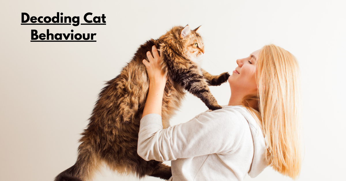 Decoding Cat Behaviour: