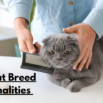 Best Cat Breed Personalities: