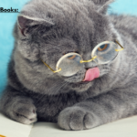 Best Cat Behaviour Books: