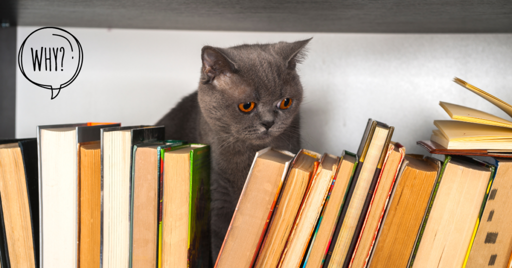 Best Cat Behaviour Books (2)