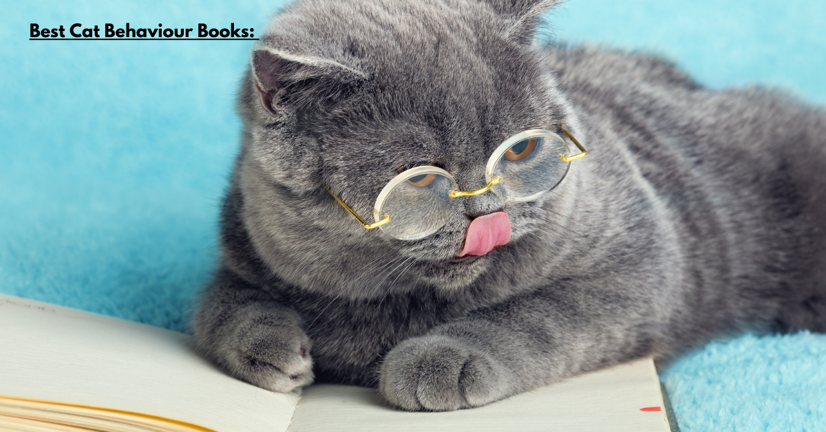 Best Cat Behaviour Books: