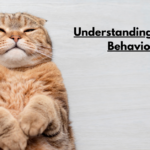 Understanding Old Cat Behaviour: